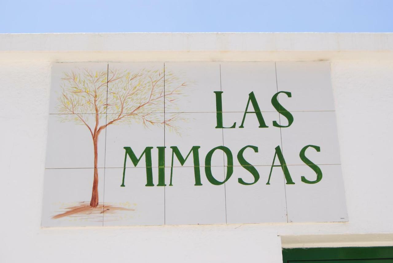 Apartamento Magmamia Puerto del Carmen  Exterior foto