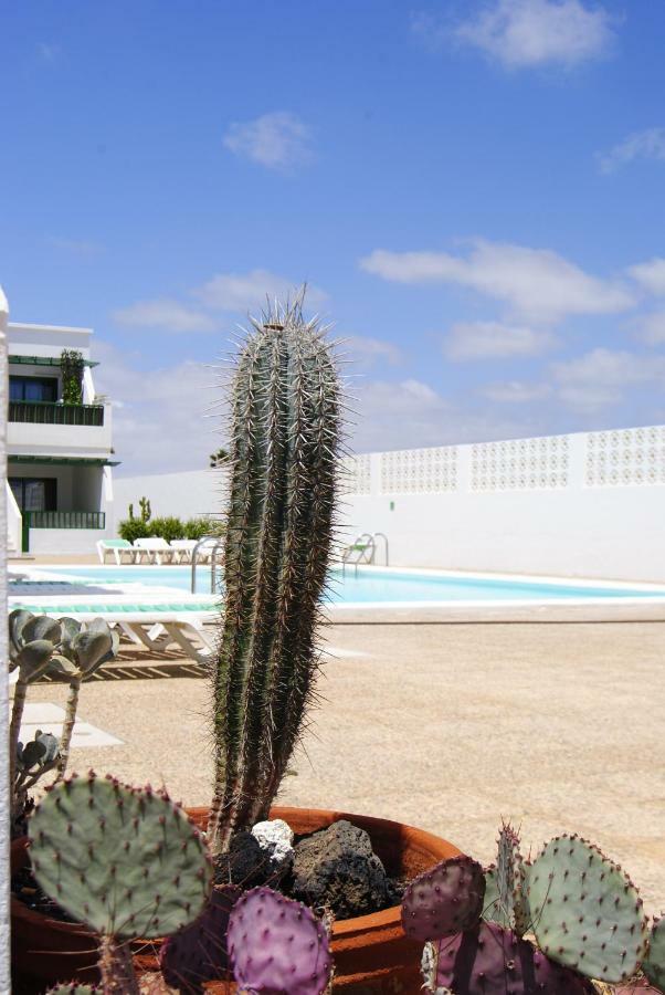 Apartamento Magmamia Puerto del Carmen  Exterior foto